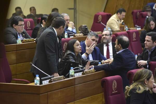 Ley anti-ONG: estudio en Comisiones previo a sesión no implica debate suficiente, cuestionan - Política - ABC Color