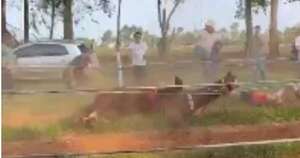 La Nación / Carrera de caballos casi termina en tragedia en Itapúa