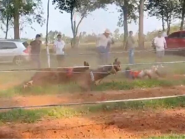 Está prohibido que menores compitan en carreras de caballos · Radio Monumental 1080 AM