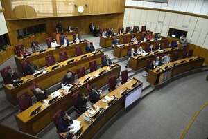 AUDIO: Ley anti-ONG: estudio en Comisiones antes de sesión no representa un debate suficiente, cuestionan  - La Primera Mañana - ABC Color