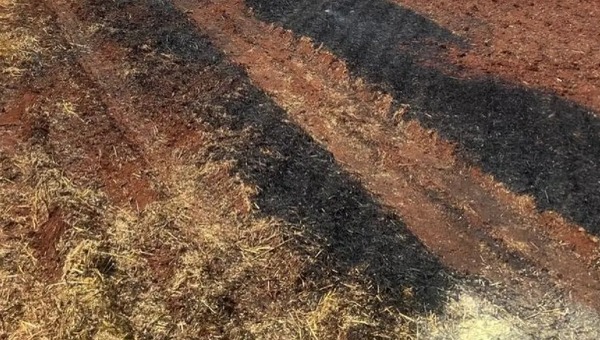 Se incendian 20 hectáreas de trigo