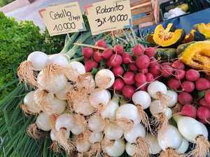 Familias del campo ofertan productos sin intermediarios en Fernando de la Mora - .::Agencia IP::.
