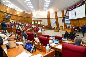 Diputados trata hoy proyecto de Ley sobre ONG - El Independiente