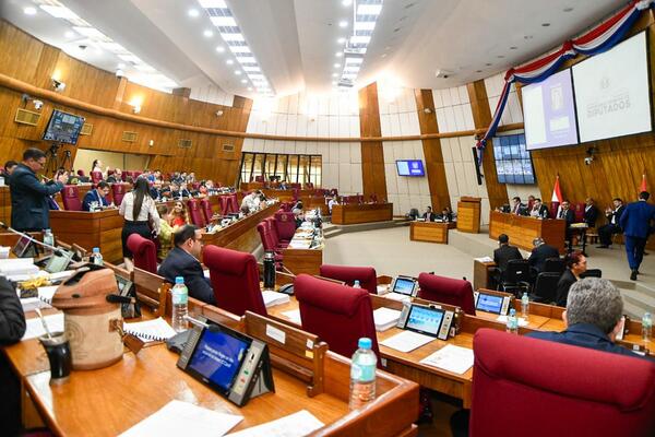 Diputados trata hoy proyecto de Ley sobre ONG - El Independiente