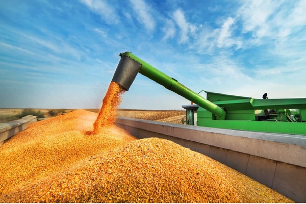 Cappro: apuntan a agregar valor industrial a los alimentos dentro de Paraguay
