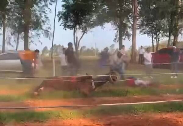 Carrera de caballos levantó polvareda: no era ilegal pero “explotaban a menores”, he’i Niñez