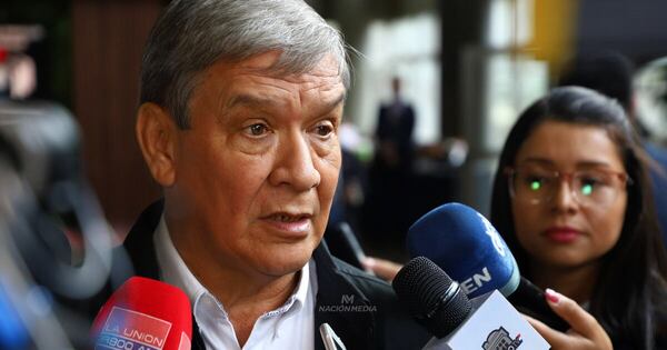 La Nación / Ir a elecciones no solucionará el problema del PLRA, afirma Ledesma