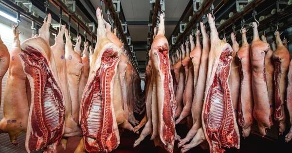 La Nación / Taiwán es el principal comprador de la carne porcina paraguaya con el 89 % del total