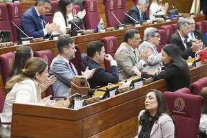 Diputados maquilla Ley contra ONG, mantiene “garrote” y posible inconstitucionalidad - Política - ABC Color
