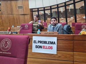 Proyecto de control a ONG está “hecho para perseguir”, dice diputado Raúl Benítez - Política - ABC Color