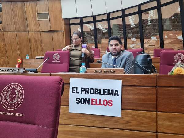 Proyecto de control a ONG está “hecho para perseguir”, dice diputado Raúl Benítez - Política - ABC Color