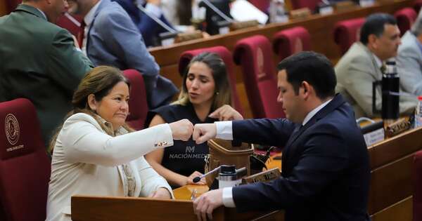 La Nación / Diputados aprobó con modificaciones propuesta de control, transparencia y rendición de oenegés
