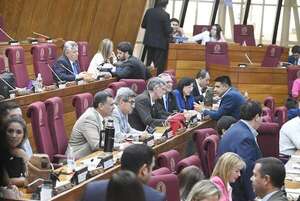 AUDIO:  Diputados aprobaron en general con modificaciones el proyecto de Ley de Control a ONGS - Periodísticamente - ABC Color