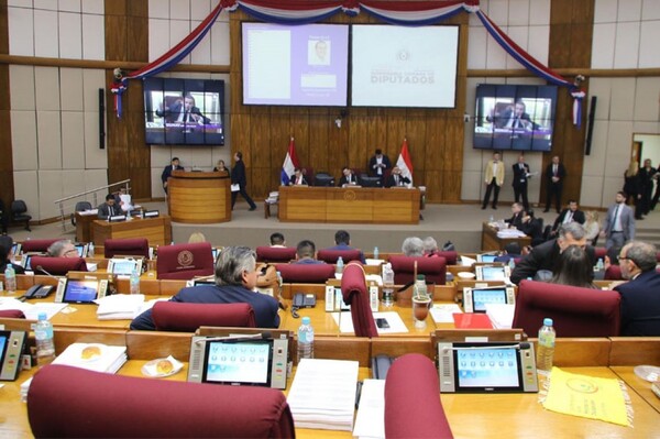 Aprobaron en Diputados ley de control de ONGs con modificaciones en varios de sus artículos