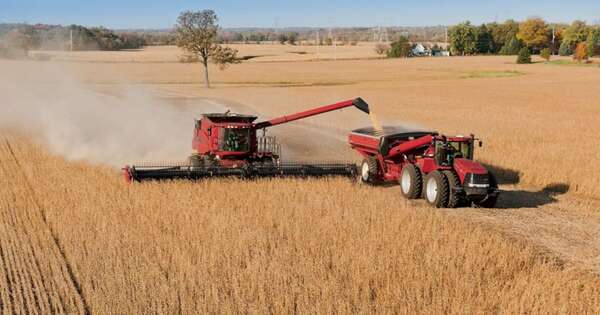 La Nación / Campaña agrícola regional genera incertidumbre en el mercado, señalan
