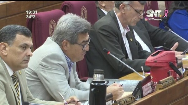 Aprobada en Diputados la ley de control a ONG'S - SNT