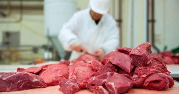 La Nación / Envíos de carne bovina crecieron 14 % en volumen y 22 % en ingresos
