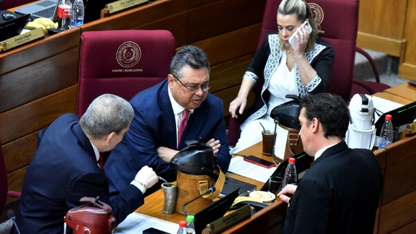 Senado prevé ampliar G. 2.554 millones para la Seprelad