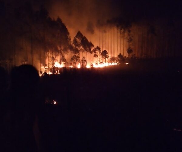 Pastizal se incendia en Yguazú