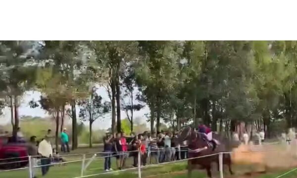 Fiscalía mete mano en accidente de menor en carrera de caballo clandestina