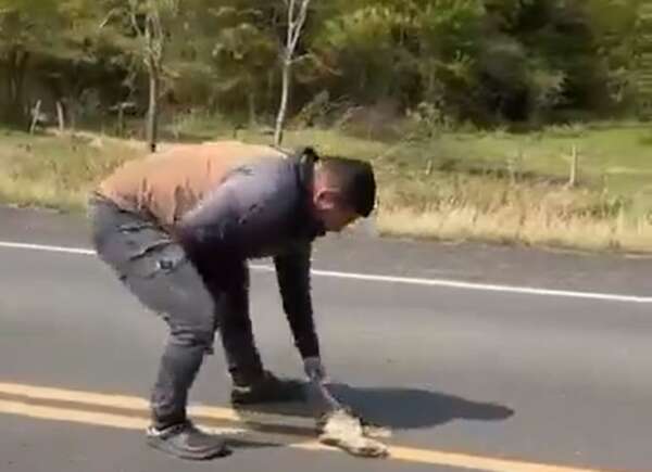 Video: hombre fue atropellado al intentar sacar a un lagarto de la ruta - Policiales - ABC Color