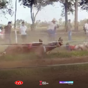 IMPUTARÁN A PATRÓN DEL GUAINO MENOR DE EDAD - TVS