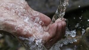 Crisis hidrológica: consejos para racionalizar el uso del agua en casa