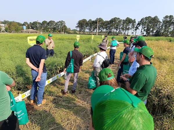 Con participación paraguaya, avanza el rally de la Canola que empezó en Brasil y culminará en Uruguay - Economía - ABC Color
