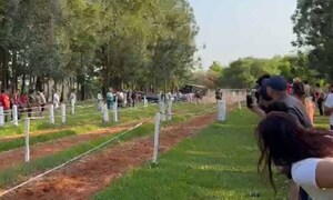 Itapúa: Fiscalía identifica a personas implicadas en carrera de caballos con participación infantil – Prensa 5