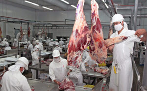 ¿A dónde va la carne paraguaya? Senacsa socializa informe de exportaciones en lo que va del año