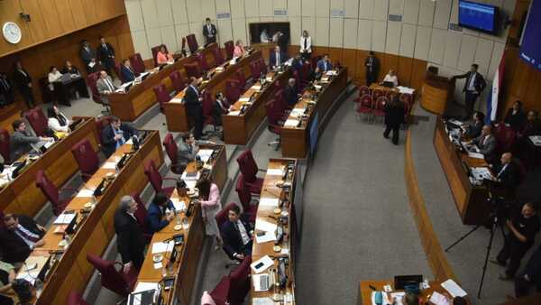 Ley que crea juzgados especializados en violencia contra la mujer obtiene media sanción