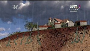 Alarmante avance de deforestación - SNT