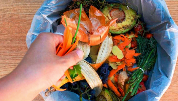El 34% de los alimentos en la región se desperdicia: ¿cómo reducir los residuos?
