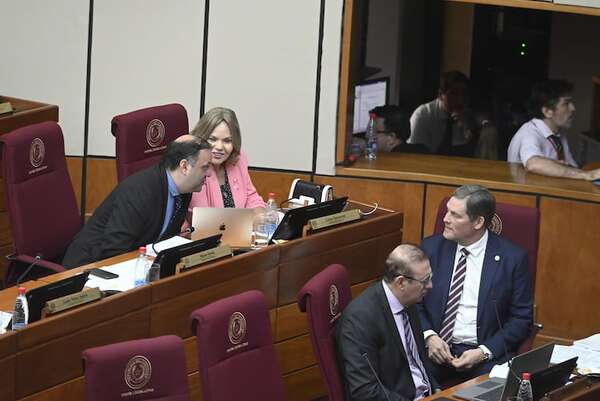 Senado crea juzgados de violencia a la mujer y aumenta alcohol en naftas - Política - ABC Color