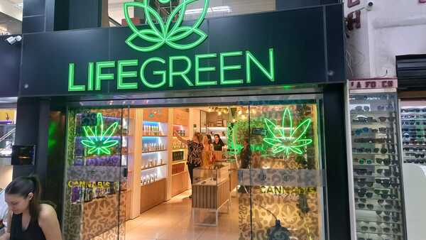Dispensario esteño de cannabis medicinal se abre paso en el mercado - La Clave