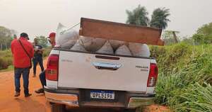 Diario HOY | Como una carga cualquiera, llevaban 200 kilos de marihuana en la carrocería