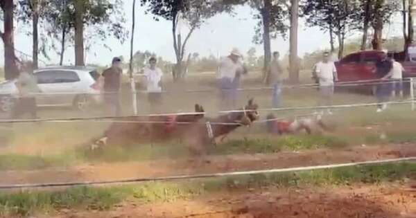 Diario HOY | Fiscal anuncia imputación a dueño de hipódromo tras caída de menor en carrera clandestina