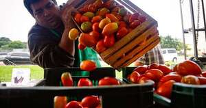 Diario HOY | Tomate a G. 7.000 por kg en feria Costanera, mientras en súper bordea los 20.000