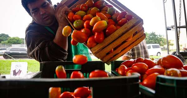 Diario HOY | Tomate a G. 7.000 por kg en feria Costanera, mientras en súper bordea los 20.000
