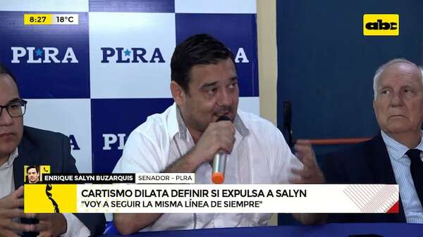 Video: Buzarquis niega recibir presiones para conservar su banca en el Senado - ABC Noticias - ABC Color