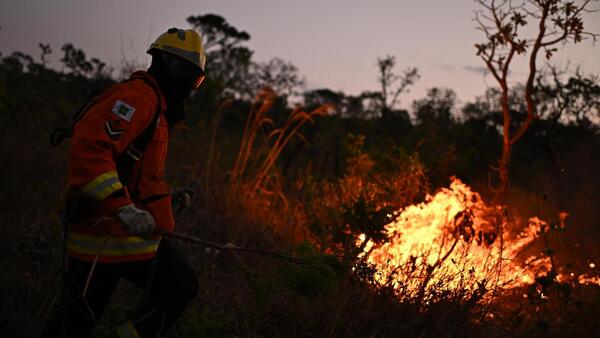 Incendios de este año en Brasil afectaron directamente a 18,9 millones de personas