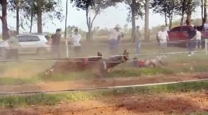 Fiscalía imputó a dueño de hipódromo donde se realizó carrera clandestina