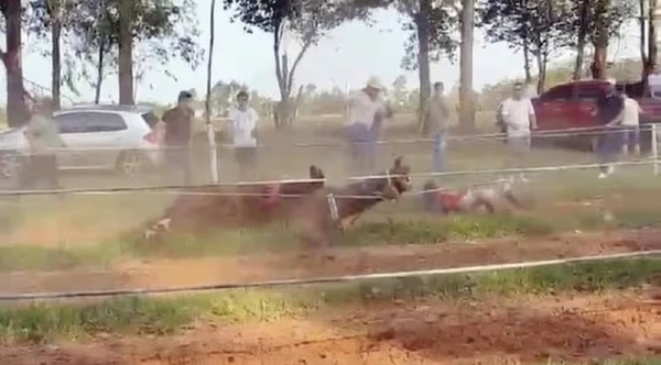 Fiscalía imputó a dueño de hipódromo donde se realizó carrera clandestina