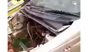 (VIDEO) Doña fue a retirar vehículo del corralón y lo encontró carneado