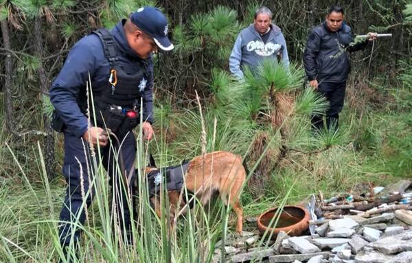 Policía inspecciona un campo donde, se cree, practican brujerías: encontraron un cráneo, velas, ere eréa