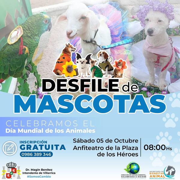 Desfile de mascotas será el sabádo 5 de octubre en Villarrica