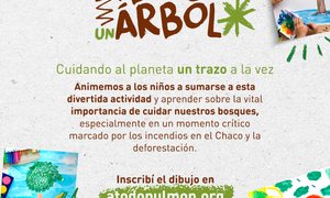 Sudameris y A Todo Pulmón ponen en marcha el concurso “Dibujá un Árbol”