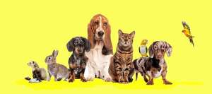 ¡Hoy es el Día Mundial de los Animales! - Mascotas - ABC Color