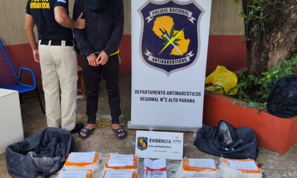 Transportaba 46 kilos de marihuana ocultas entre paquetes de harina – Diario TNPRESS