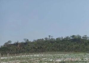 Intervención de la fiscalía ante productores afectados por agrotóxicos
